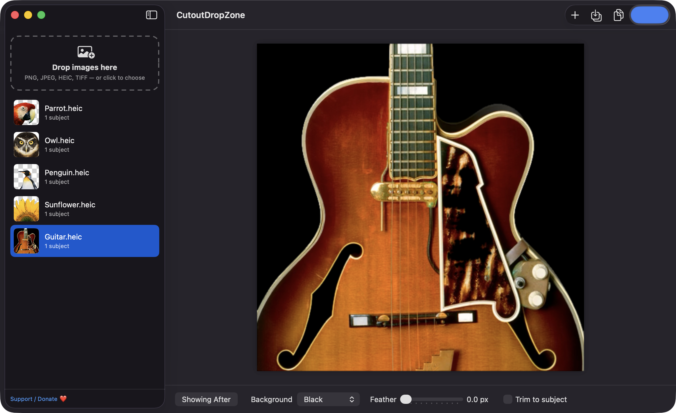 Guitar cutout placed on a black background with the per-image controls bar